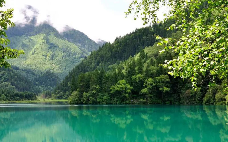 高效智能